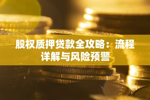 北京股权质押贷款全攻略：流程详解与风险预警