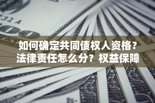 北京如何确定共同债权人资格？法律责任怎么分？权益保障技巧揭秘！